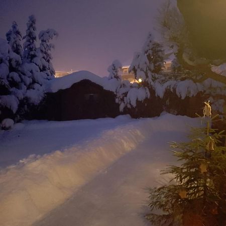 Haus Hoher Sattel Apartment Leutasch Luaran gambar