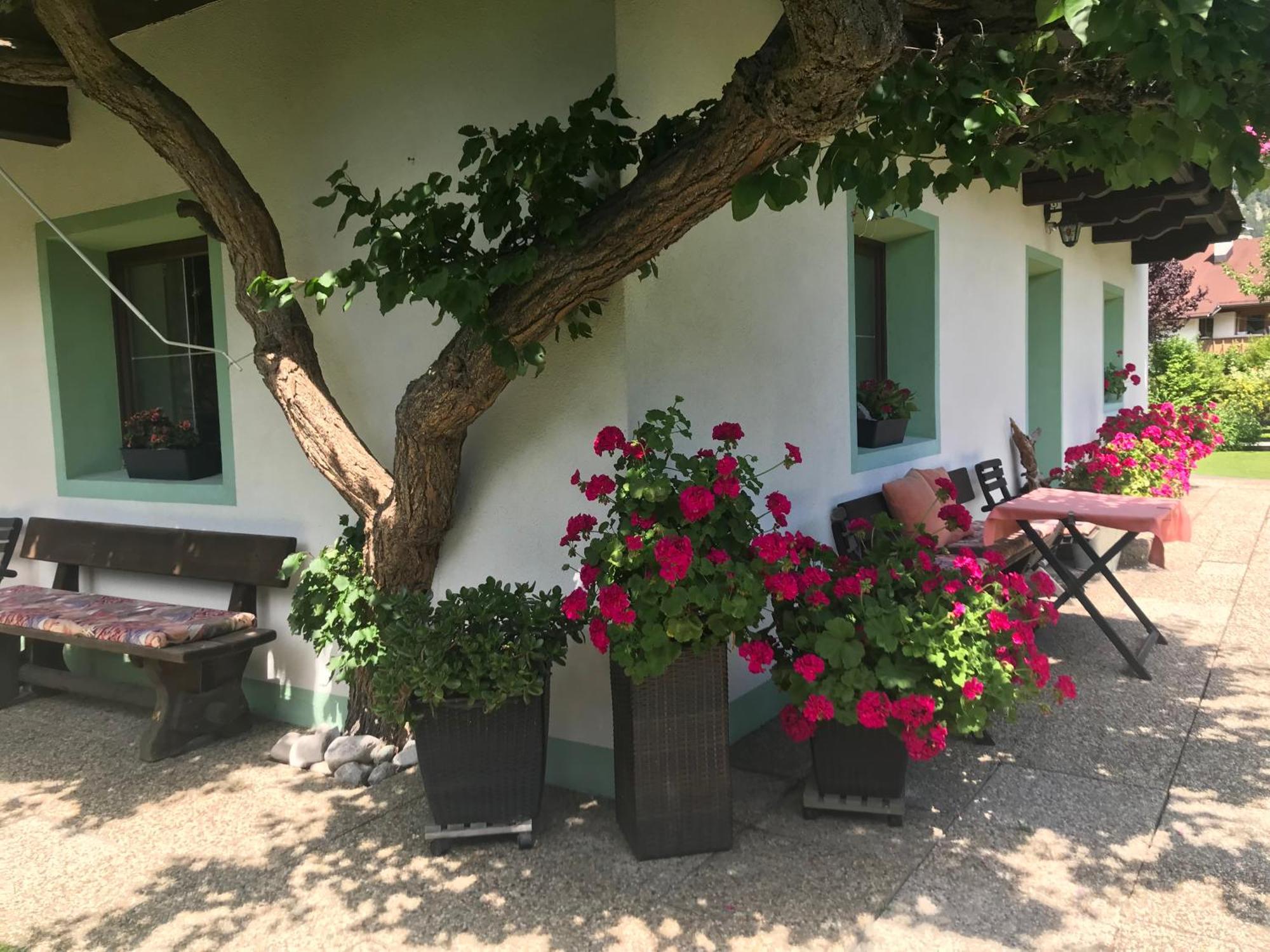 Haus Hoher Sattel Apartment Leutasch Luaran gambar