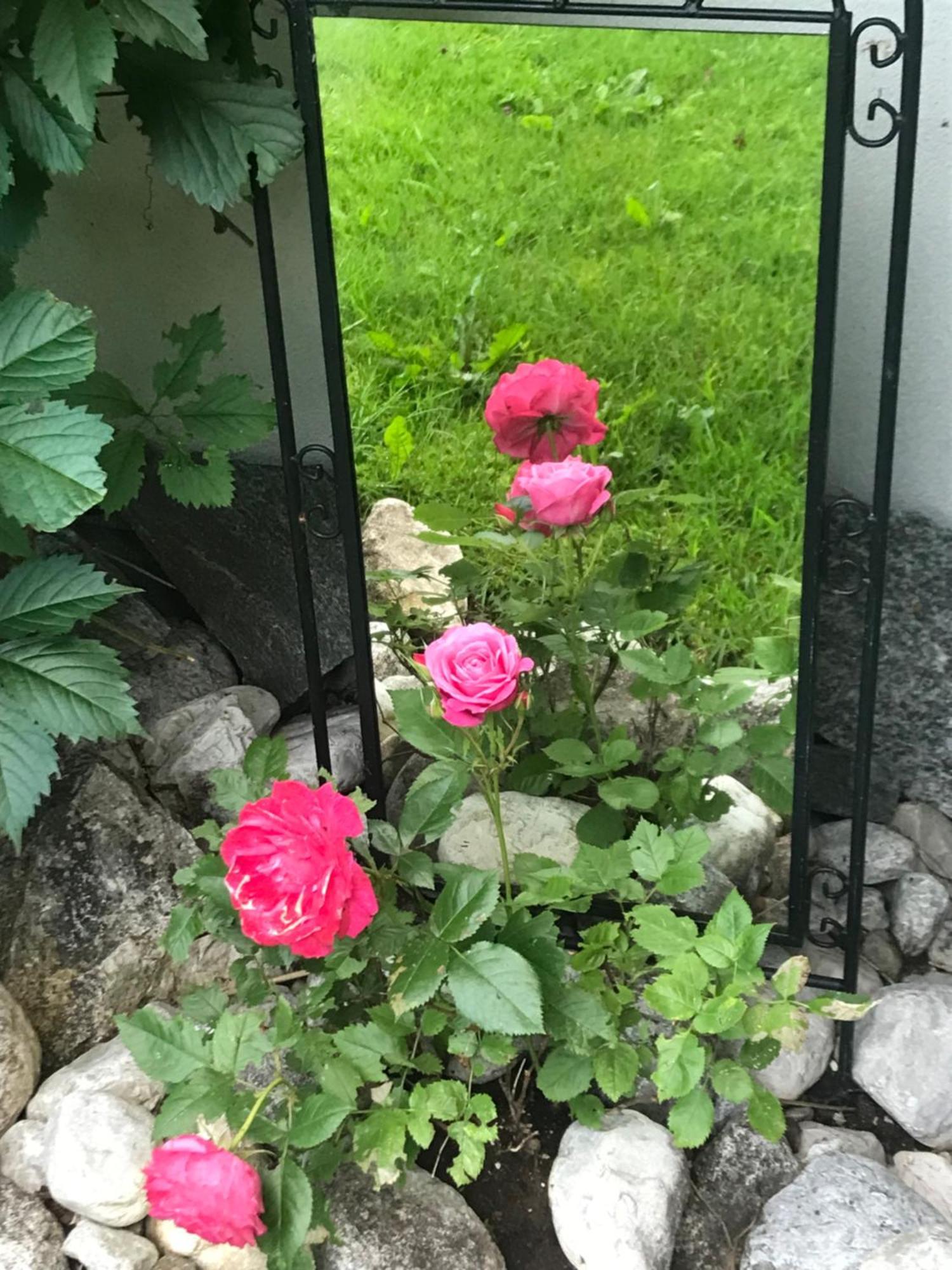 Haus Hoher Sattel Apartment Leutasch Luaran gambar